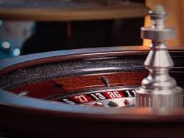 Live blackjack table layout on gorila4d login showing dealer position and player betting areas
